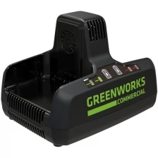 Зарядное устройство Greenworks G82C2 82V